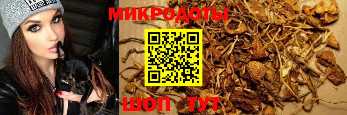 Галлюциногенные грибы Cubensis  Вход с VPN  Псилоцибиновые грибы MAGIC MUSHROOMS  Бердск 