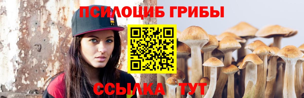 Галлюциногенные грибы мицелий Бердск